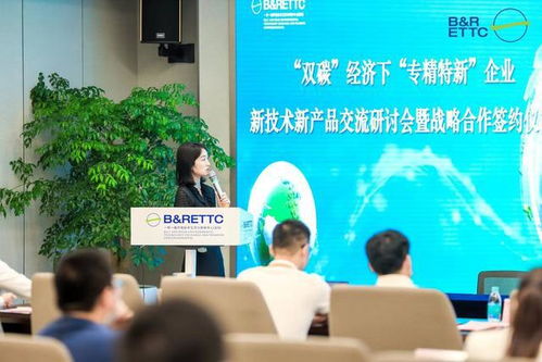 雙碳目標引領未來 智能網聯車企轉型之路與一帶一路合作新機遇